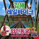 김해 레일바이크 이용요금 운영시간 와인동굴 후기 총정리