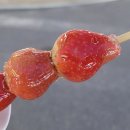 [충북 음성] 충북혁신도시 신상맛집 &#34;왕가네 탕후루&#34; 솔직후기!❤️