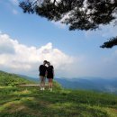 산너미목장 이미지