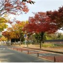 쌍청당로 이미지