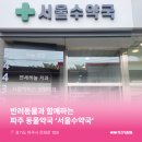 파주 동물약국 이미지