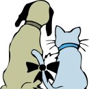 21세기동물병원 이미지