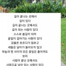 사림동141 | [쪽 독서모임] 19-3-1 탁월한 사유의시선 후기 ♡선택과 집중 그리고 그 연장선에서 삶의 방식 사유하기