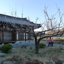 영천 귀애정 이미지