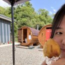 123찜질하우스 이미지