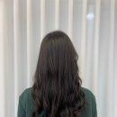 헤어리움(HAIR RIUM)