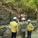 김영일 사무소 이미지