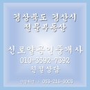 신로얄공인중개사사무소 이미지