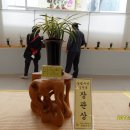 한국춘란 전시회 이미지