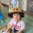 데이앤제이 네이버블로그