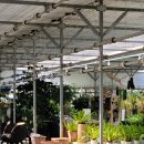 청담설렁탕 이미지