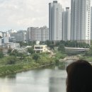 제주마꼬또 | 뷰 미친 룸식당! 치킨보다 바삭한 인생 갈치튀김 '제주마꼬또' 솔직후기