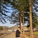 양동초등학교고송분교장 이미지