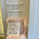 공언니펫살롱 이미지