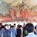 영월 Y파크(술샘박물관) 이미지