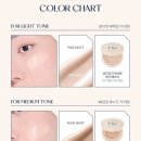 땅뜨디자인 | 추천 : 다이소 태그 듀이 쿠션 내돈내산 솔직후기 / 가성비 다이소 태그 쿠션 추천 투쿨포스쿨 태그...