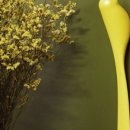 지혜로운생활연구소 이미지