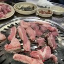 마시기통차 네이버블로그