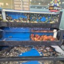 최봉석 | 모찌의 또간집 인천맛집 내도내산 해물꾼최봉석