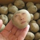 한초농장 이미지