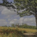 병화 농장 이미지