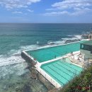 뉴골드사우나 | 본다이비치 아이스버그 수영장 준비물 입장료 운영시간 준비물 샤워 가는법 / [골드 러쉬26: 호주 시드니]