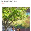 핀캠퍼스