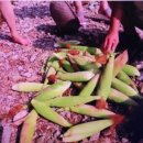 국수창고 이미지