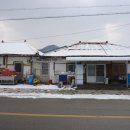 선바위식당 | 홍천 맛집 선바위식당 쭈꾸미 볶음 밥집 만족후기