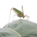 지금아니고지금 이미지