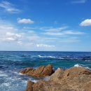 망양리 대게공원 이미지