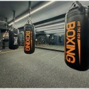 더뉴복싱 이미지