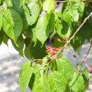 휴정서원 이미지