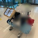 이조떡집 - 창원시 마산회원구 회원천북길 247 | 왕초보의 골프여행, 돌멍게편 - 4,5일차(해비치CC, 고등어회, 거북이한과, 할머니떡집, 돌멍게, 갈치조림)