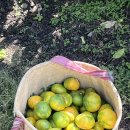 한라앤탐 이미지