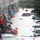 하천(대전천2) 이미지