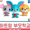 원더버디 이미지