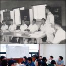 소나무파인트리(PINE TREE) 이미지