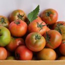 덕진농장 2농장 이미지