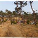 아잘리아그린 이미지