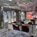 태화학원 | [울산여기다 태화점] 키즈폰 추천 & 삼성페스티벌 온누리 20% 환급 꿀팁! 7/5까지 서두르세요