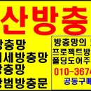 규갤러리카페 이미지