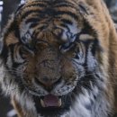 대호회관 이미지