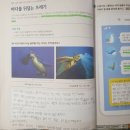신서초등학교 이미지