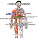 설천면031 Daum카페