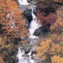 주천면 호경마을 이미지