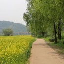 중앙광장 상설무대 이미지