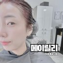 충주 연수동 미용실 메이릴리 모발클리닉후기 (반려동물동반가능)
