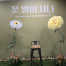 꽃 별이 지나 이미지