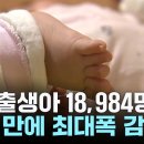 8월 출생아 18,984명 또 최저...8월 기준 15년 만에 최대폭 감소/YTN/ 역대 최저…280조 어디 썼나 보니 이미지